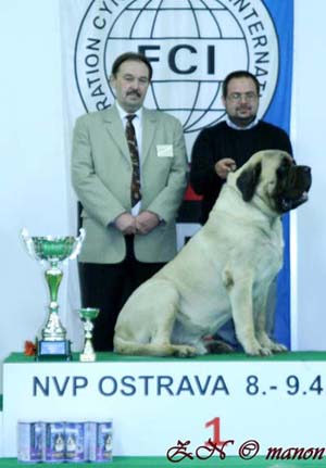 NVP Ostrava
